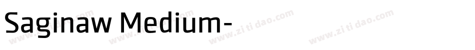 Saginaw Medium字体转换